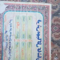 قالی تمیز|فرش|اهواز, زیتون کارگری|دیوار