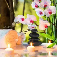 همکاری با پزشک زیبایی یا پزشک طب سنتی