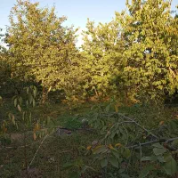فروش باغ 1204روستای قشلاق|فروش زمین و ملک کلنگی|فیرورق, |دیوار