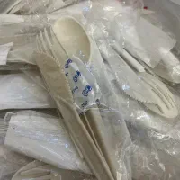 ظروف یکبار مصرف