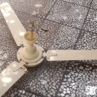 پنکه سقفی صحیح سالم دو عدد لوستر و پنکه سقفی