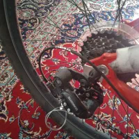 دوچرخه ویگو ۲۶ تنه آلمینیوم|دوچرخه، اسکیت، اسکوتر|بروجرد, |دیوار