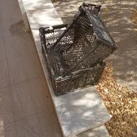 فروش سبد میوه ای