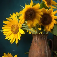 پول قرض میخوام