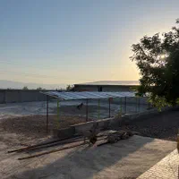 دامداری ۴۰۰ راسی + ۶ هکتار زمین