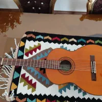 گیتار Aria Ak80