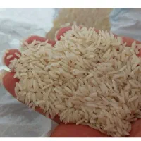 برنج هاشمی درجه یک گیلان