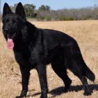 گمشده . حوالی روستای طالقان