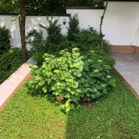 زمین-فروشی-در-کلاردشت-رودبارک-پلم-چال