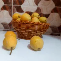 سبد دست بافت|صنایع دستی و سایر لوازم تزئینی|گنبد کاووس, |دیوار