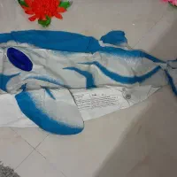 تیوپ استخر بادی طرح دلفین نو