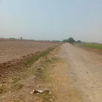 اجاره ۵ هکتار زمین کشاورزی پشت پمپ بنزین نساروند