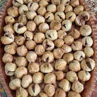 انجیر