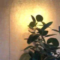 دو مغازه سند مجزا جمعا ۵۰ متر|فروش مغازه و غرفه|مسجد سلیمان, |دیوار