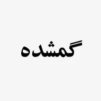 مدارک گمشده