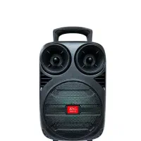 اسپیکر قابل حمل بلوتوثی فلشخور میکروفون داررقص نور|سیستم صوتی خانگی|اردبیل, |دیوار