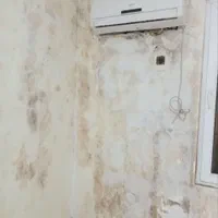 نقاشی ساختمان ودرب وپنجره|خدمات پیشه و مهارت|میبد, |دیوار