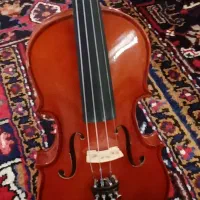 ویلن|ویولن|تبریز, |دیوار