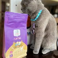 پت شاپ آنلاین