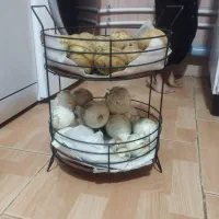 جا سیب زمینی و پیازی