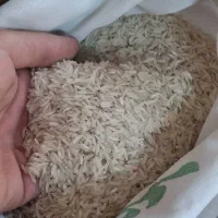فروش برنج ایرانی ممتاز|خوردنی و آشامیدنی|تهران, استقلال|دیوار