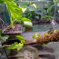 آکواریوم آبشار ،فول آپشنال