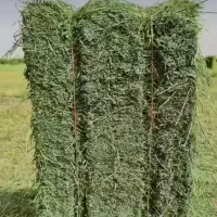 فروش پرس یونجه درجه۱ ممتاز درشهر نافچ ،کیلو ۲۸هزار