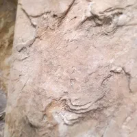 میکروسمنت و پتینه هنران|مصالح و تجهیزات ساختمان|شیراز, قصرالدشت|دیوار