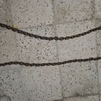 لوسترکوچک ،چکش کار ،زنجیر، شیرآب|لوستر و چراغ آویز|تربتحیدریه, شهرک ولیعصر|دیوار