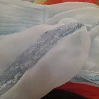 لباس مجلسی|لباس|پردیس, فاز ۲|دیوار