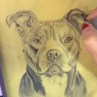 اموزش فوق حرفه ایی تاتو بدن و صورت|خدمات آرایشگری و زیبایی|رشت, دیلمان|دیوار