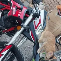 فروش تریل تی 4