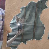 آینه‌ی گربه‌ی ایران