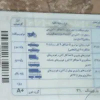 راننده پایه یکم