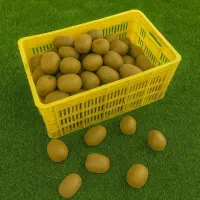 سبد 20 کیلویی سبد حمال سبد مرکبات