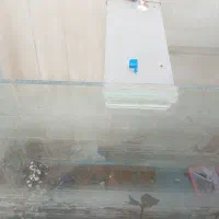 آکواریوم ماهی و لوازم ماهی