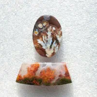 نگین شجر رنگی طبیعی|جواهرات|ماهدشت, |دیوار