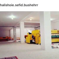 قالیشویی و مبل شویی سفید|خدمات نظافت|بوشهر, |دیوار