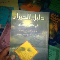 ۳۰۸تعدادی بلوک دارم عندی اکتابات لبیع اکتابات|مصالح و تجهیزات ساختمان|اهواز, رسالت|دیوار