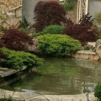 طراحی و اجرای محوطه آبنما برکه فضای سبز گرین وال|خدمات باغبانی و درختکاری|تهران, حکیمیه|دیوار