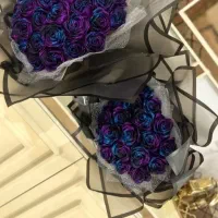 تخفیفویژه|حراج|خوی, |دیوار