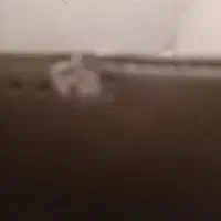 ی عدد کالسکه ۲ قلو