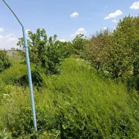 علف زنی ماهر
