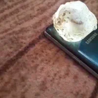 سنگ سفید شیشه ای