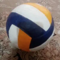توپ والیبال برچسبی