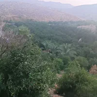 باغچه-دهنو-قلندری