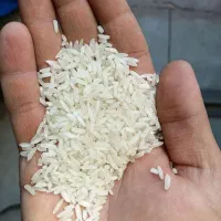 برنج تایلندی خانجون