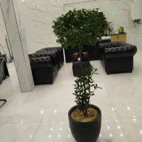 سفت-کاری-جنوبی-دوشان
