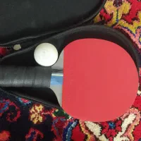 دسته پینگ پنگ|ورزش‌های توپی|مرند, |دیوار