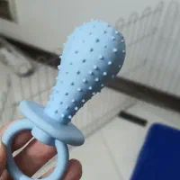 سگ مالتیپو|سگ|قم, انسجام|دیوار